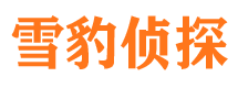 随县外遇出轨调查取证